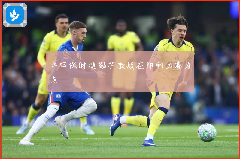 丰田保时捷勒芒激战在即耐力赛看点