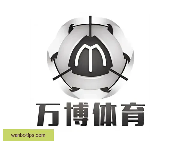 万博体育入口全面解析助力用户安全便捷畅享体育体验